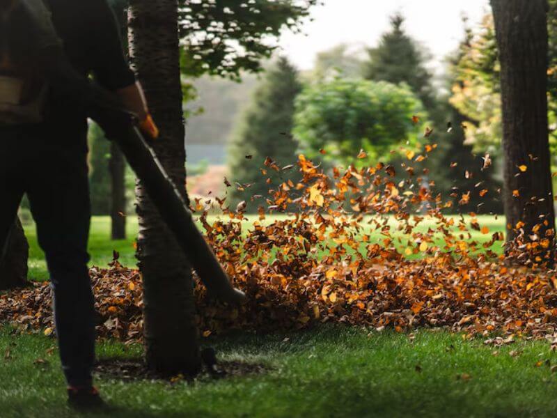 Tuin onderhoud senioren